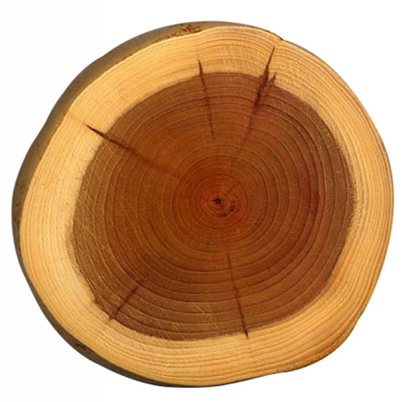 Gỗ các loại